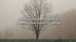 Ekin Uzunlar - Zindan 