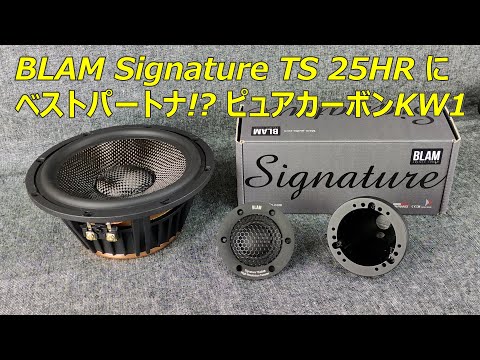 BLAM シグネチャー TS25HR専用 ハイブリッドマウント アルミ 強化樹脂