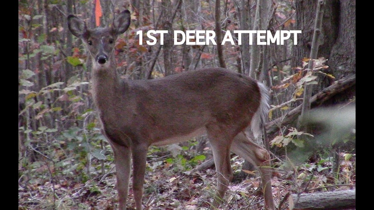 Get the Kids Outdoors: Muzzleloader 2017 | First Deer Attempt - YouTube