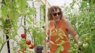 Découvrez Myfood dans le reportage France 5 - Potagers : si on semait !