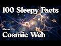 The Most Relaxing Facts About The Cosmic Web To Fall Asleep To