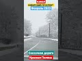 Сказочная дорога в Красную Поляну