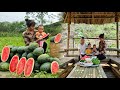 Single mother picking watermelons to sell  grandfather built a bamboo hut  ly phuc binh