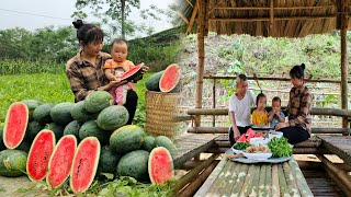 Single mother: Picking watermelons to sell - Grandfather built a bamboo hut | Ly Phuc Binh