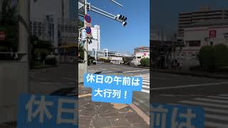 宮崎交通のドル箱路線