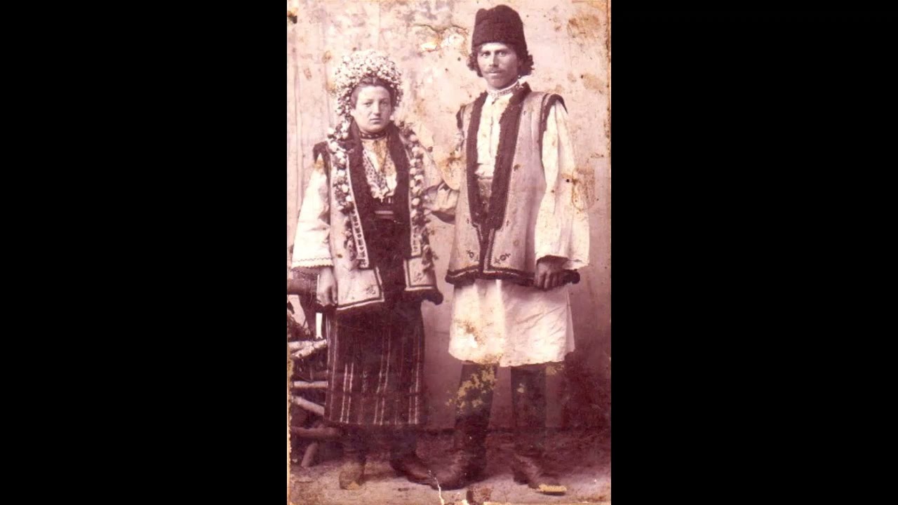 Aglaia I. Baimacean - Pin paduri bruma-i neagrî