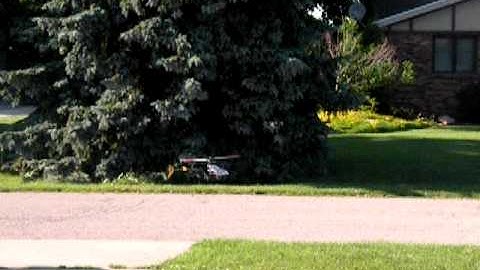 T-Rex 450 first flight