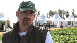 Innovation herbicide dans la culture du tournesol - ARVALIS-infos.fr