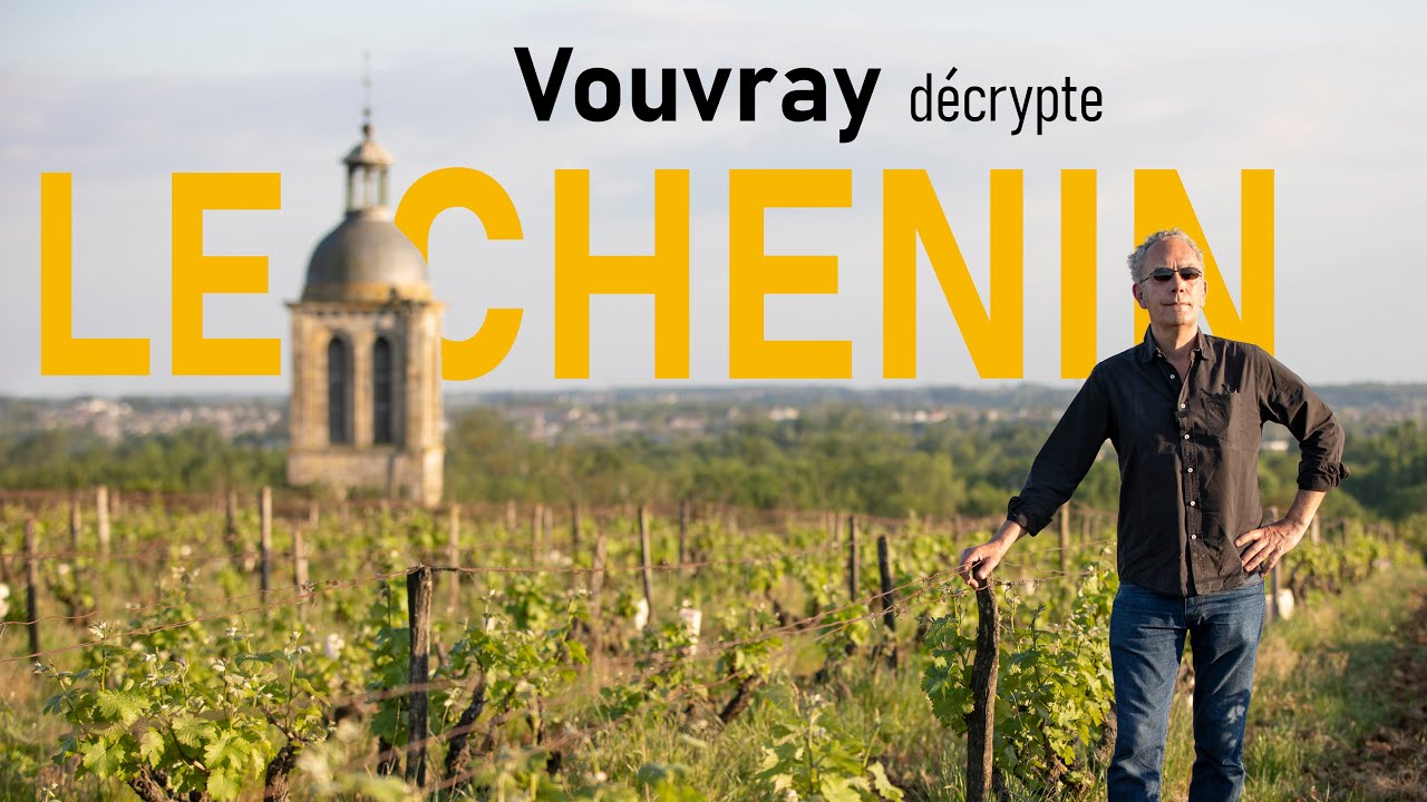 Vouvray dcrypte  Le Chenin