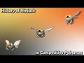 How GOOD was Ninjask ACTUALLY? - History of Ninjask in Competitive Pokemon