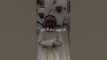#سورة #الحجر🥀