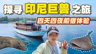 Search for Indonesian giants, experience a 4-day liveaboard trip from Komodo to Lombok. screenshot 3