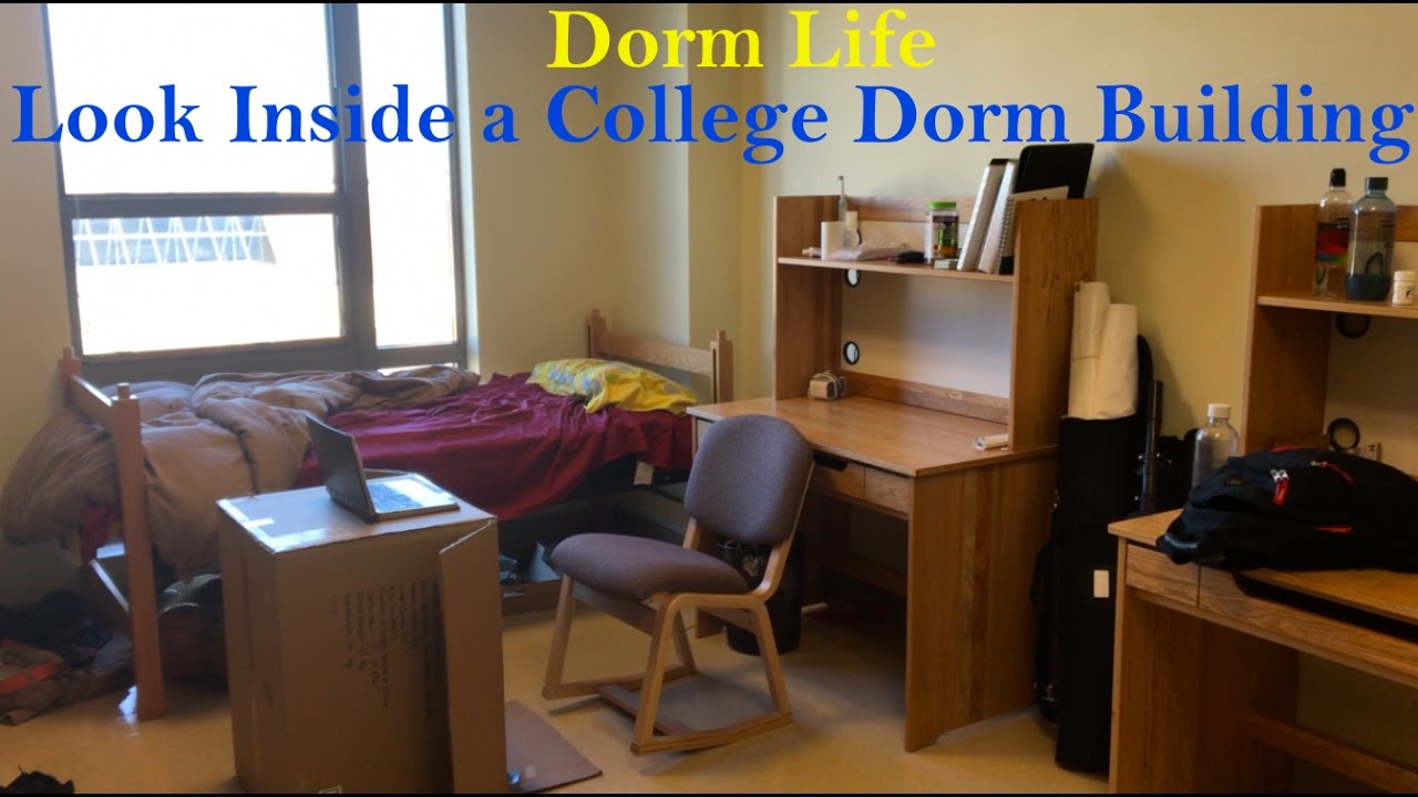 Dorm Life