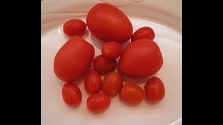 Tomatoes 101-how to remove seeds from
