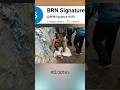 Why Midel Class Go Down Day By Day?  #shorts #shortvideo #shortsfeed @BRN Signature