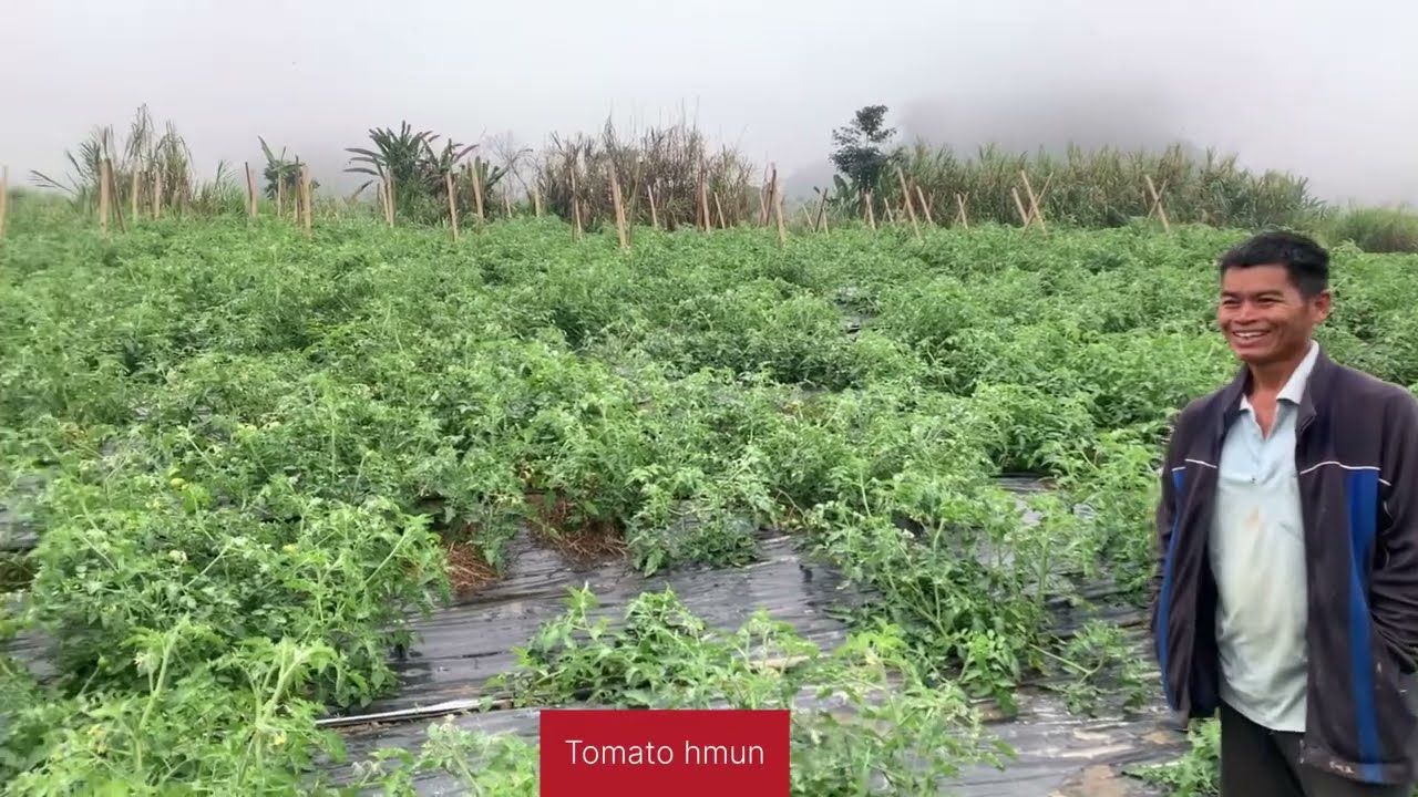 Kut hnathawktu hlawhtling-Zemawia,Serchhip Zawlpui (Tuisen zau fanna part-I)