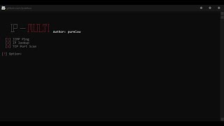 IP-Multi : IP LOOKUP