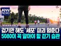 걷는 것만해도 '세포' 파괴 멈춘다. 꼭 알아야할 걷기 습관