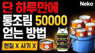 냥코대전쟁 2026년 최신기준 통조림 얻는방법 screenshot 4