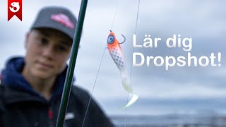 Lär dig DROPSHOTFISKE efter ABBORRE! Så Fiskar Du Dropshot Efter Abborre Nörderivarning