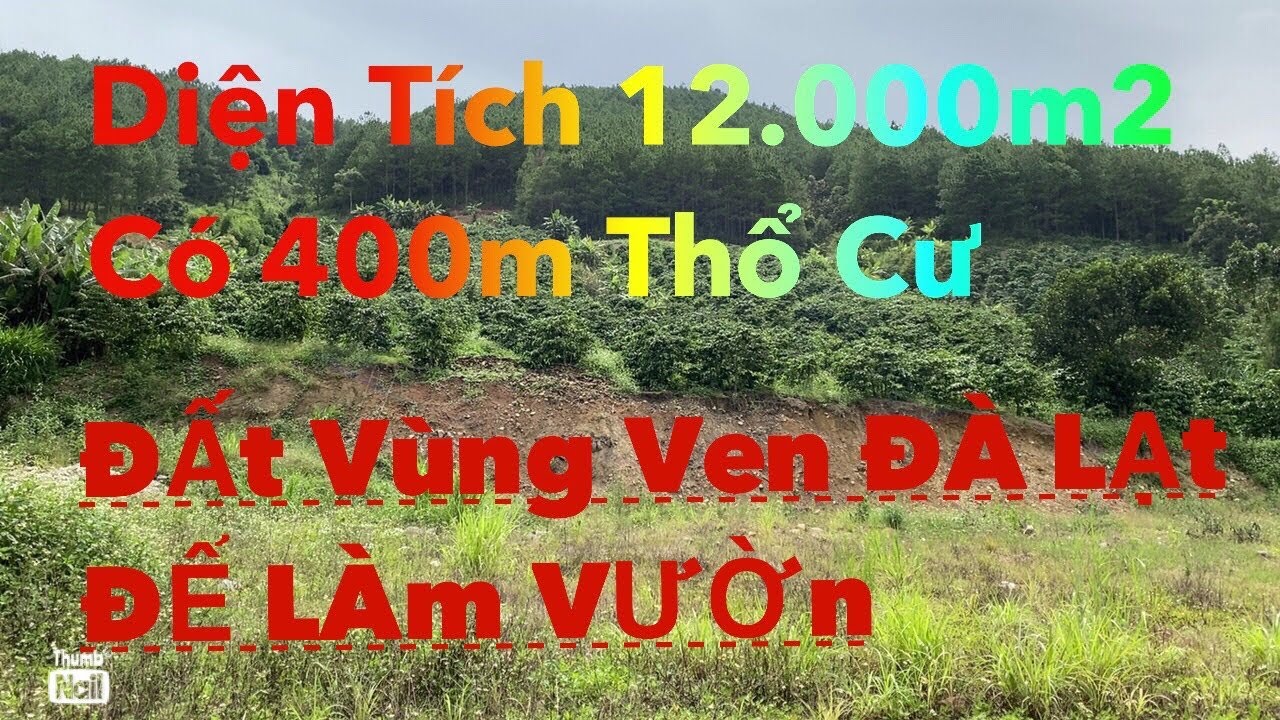 #14 Đất vườn trang trại vùng ven Đà Lạt cần bán - 12.000m2 giá 7 tỷ 200 triệu