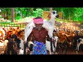 Nellai masala mutton curry  village traditional goat recipe  prepared by karuppasami grandpa