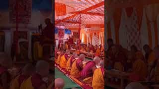 Buddhism Event In Shimla
