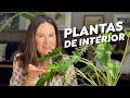 Plantas de INTERIOR 😀 🌱(No las dejes morir) | Puro Glow