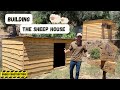 Building a SHEEP house | Noah