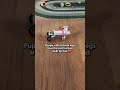Dad Builds Custom Cart For His Puppy Missing His Front Legs | The Dodo