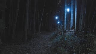 【独立型太陽光発電】屋外用LED豆灯を作ってみた