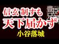 【信玄は勝ちながら、なぜ届かなかったのか？三方ヶ原の真実と小谷落城】三方ヶ原は本当に家康惨敗だったのか？信玄の死と小谷落城が変えた天下の行方　浅井・朝倉滅亡、信長天下へ加速　　豊臣兄弟歴史解説