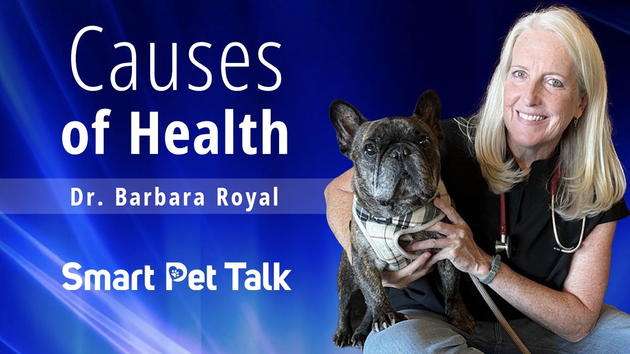 Causes of Health with Guest Dr. Barbara Royal YouTube