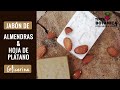CÓMO HACER JABÓN DE ALMENDRAS | Rutina de Día & Noche para Pieles Secas
