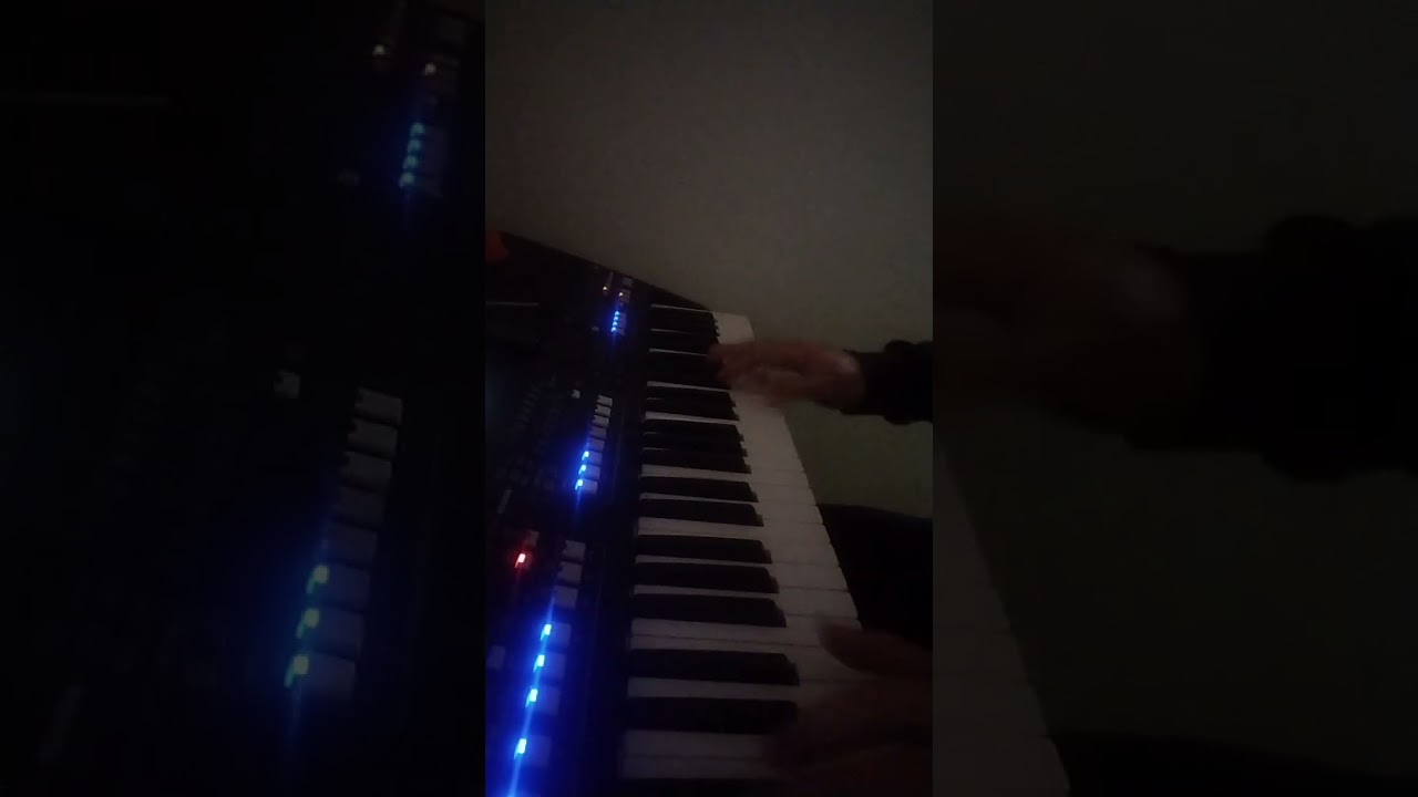 A chi ti rivolgi , Yamaha PSR SX 600