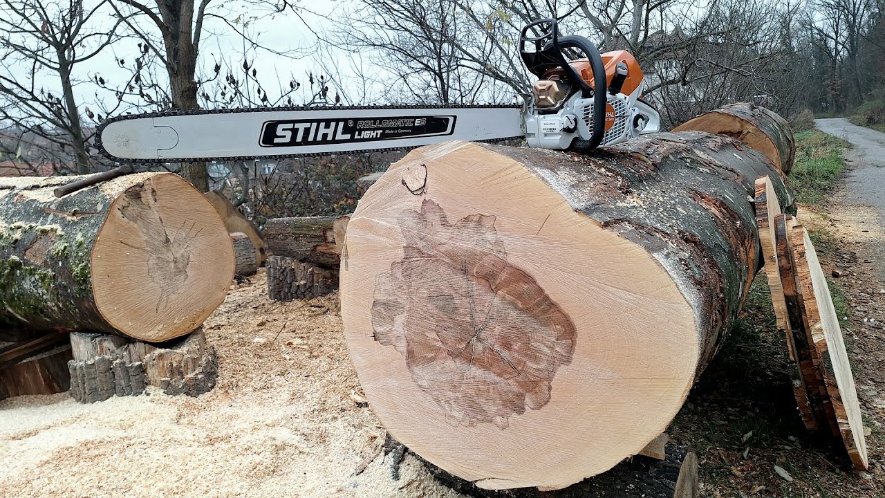 Stihl MS 363 (62.6cc, 4.7HP) - first start/cuts, break-in, factory RPM, big wood test and more !!!