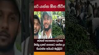     trending shorts buddha news