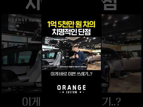 테슬라 <strong>모델X</strong> 이런 분은 사지 마세요