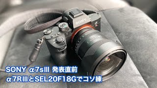 SONY α7sⅢ 発表直前 α7RⅢとSEL20F18Gでコソ練 #584 [4K]