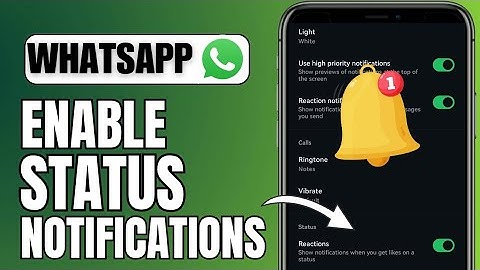 How To Turn On Status Notifications on WhatsApp | iOS & Android