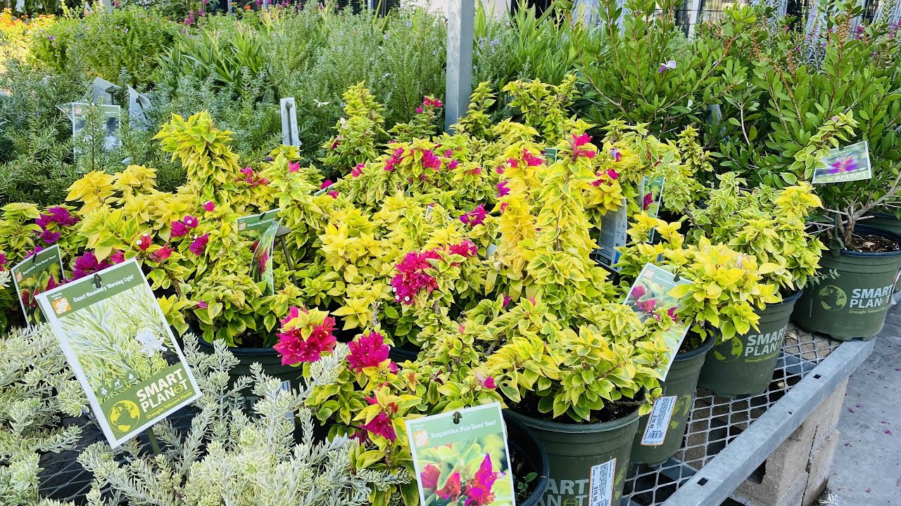 HAPPY LABOR DAY in Home Depot in Alhambra California YouTube