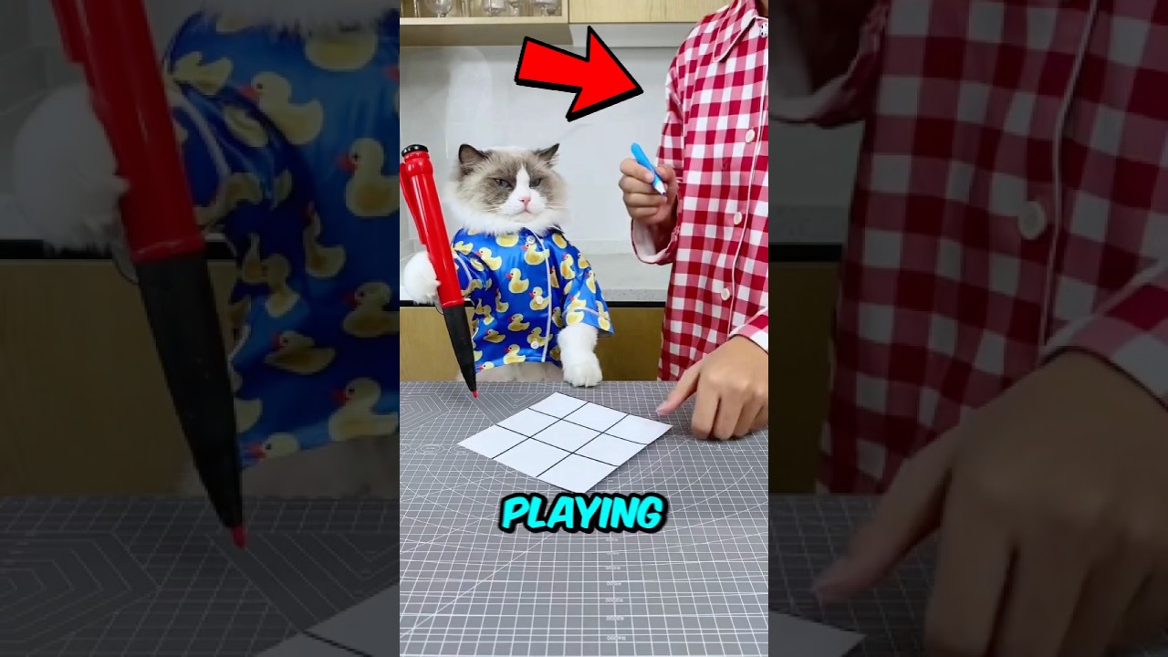 This Cat Has Clever Move Than His Owner. 😱‼️🐈🐱