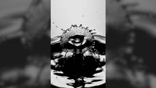 Water Drop Collision - Slow Motion 3600 Fps