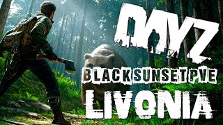 ОБЗОР ПРОЕКТА BLACK SUNSET (Черный закат) PVE Enoch #dayz