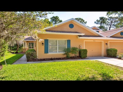 9063 IRON OAK AVENUE, Tampa, FL home video tour