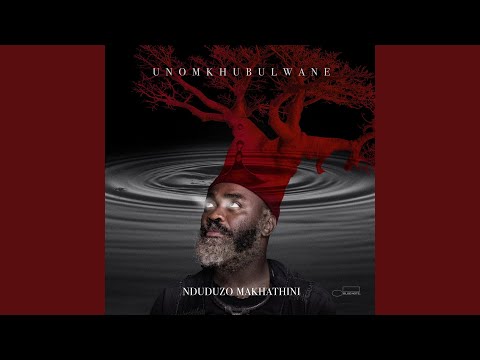 Nduduzo Makhathini - Libations: Omnyama mp3 ke stažení