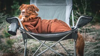 The only DOG COATS you will EVER NEED