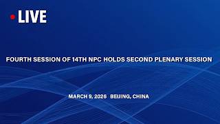 Download lagu LIVE: The Second Plenary Session of the Fourth Session of the 14th National People's Congress