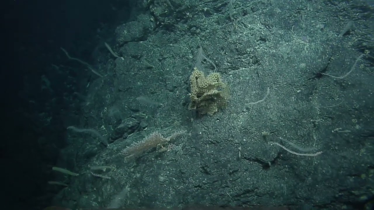 NA154_H2007_(5of11)_20230919T221018Z