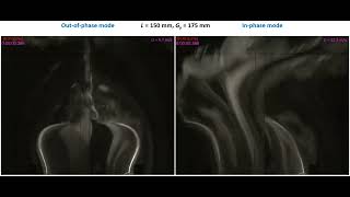 Flow-Induced Vibration of Side-by-Side Plates | Fog Visualization.